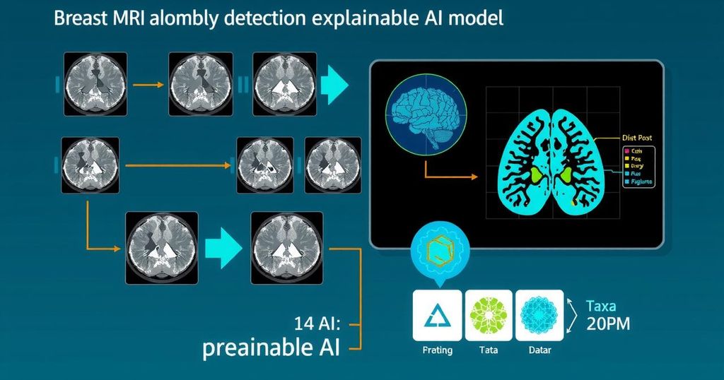Diagram teknik deteksi anomali MRI payudara menggunakan model AI yang menjelaskan.