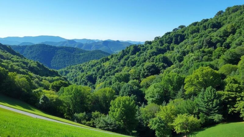 Rural Appalachian landscape with mountains and trees, symbolizing health disparities in the region.